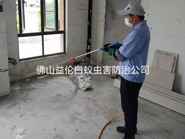 平洲房屋裝修預防白蟻