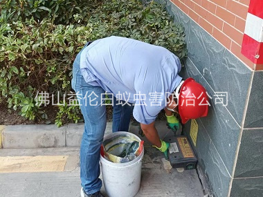 松崗安裝滅鼠器工程